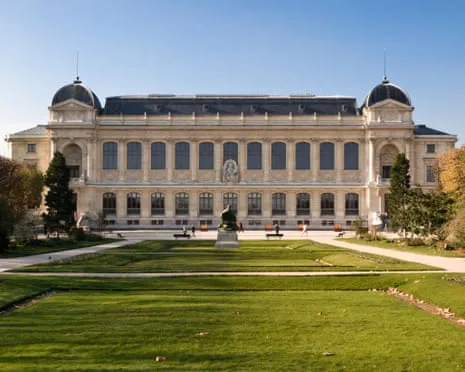 Invaluable Gold Samples Taken in Audacious Raid at French National Institution